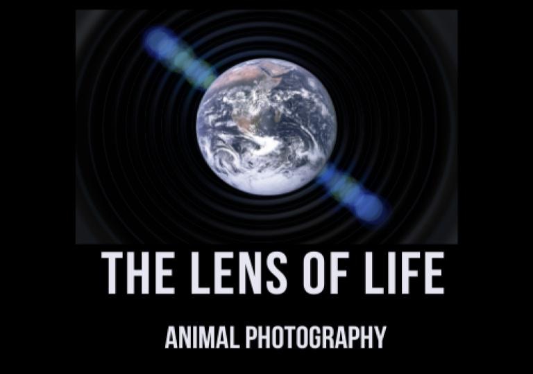 Go to Nicholas Squeri's profile