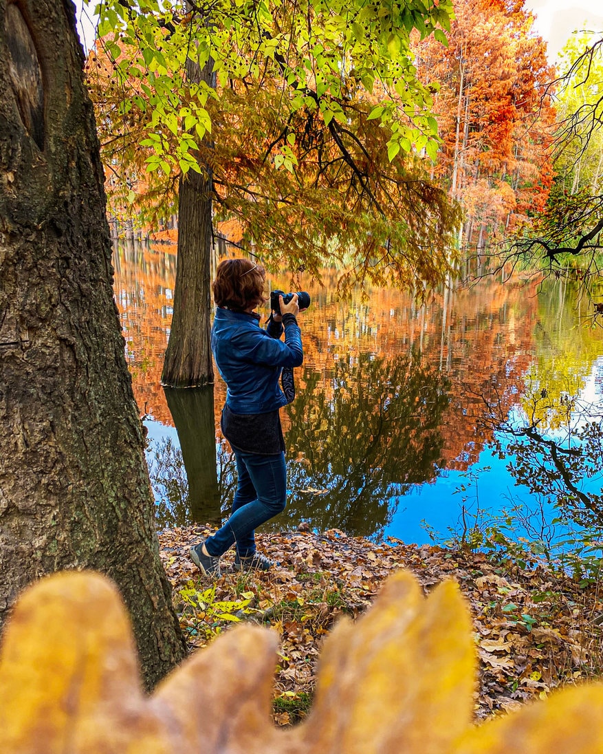 Go to Sonia Fotograf's profile