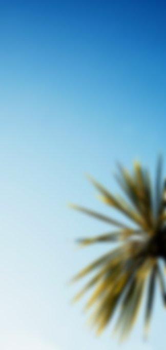Zum Profil von Sharon Shaji