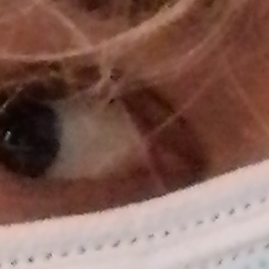 Go to Jeremy Eckert's profile