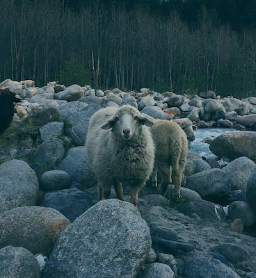 Nahas Akbar의 프로필로 이동