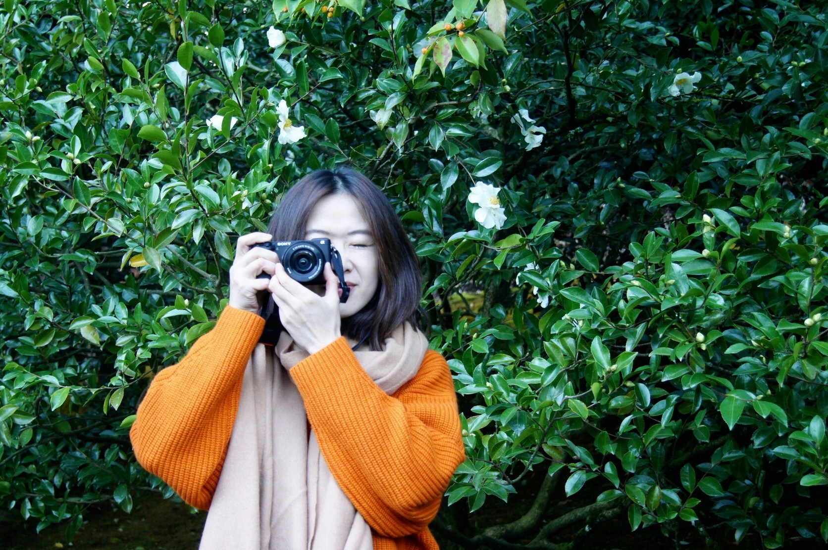 Avatar of user Shuangyuan Wei