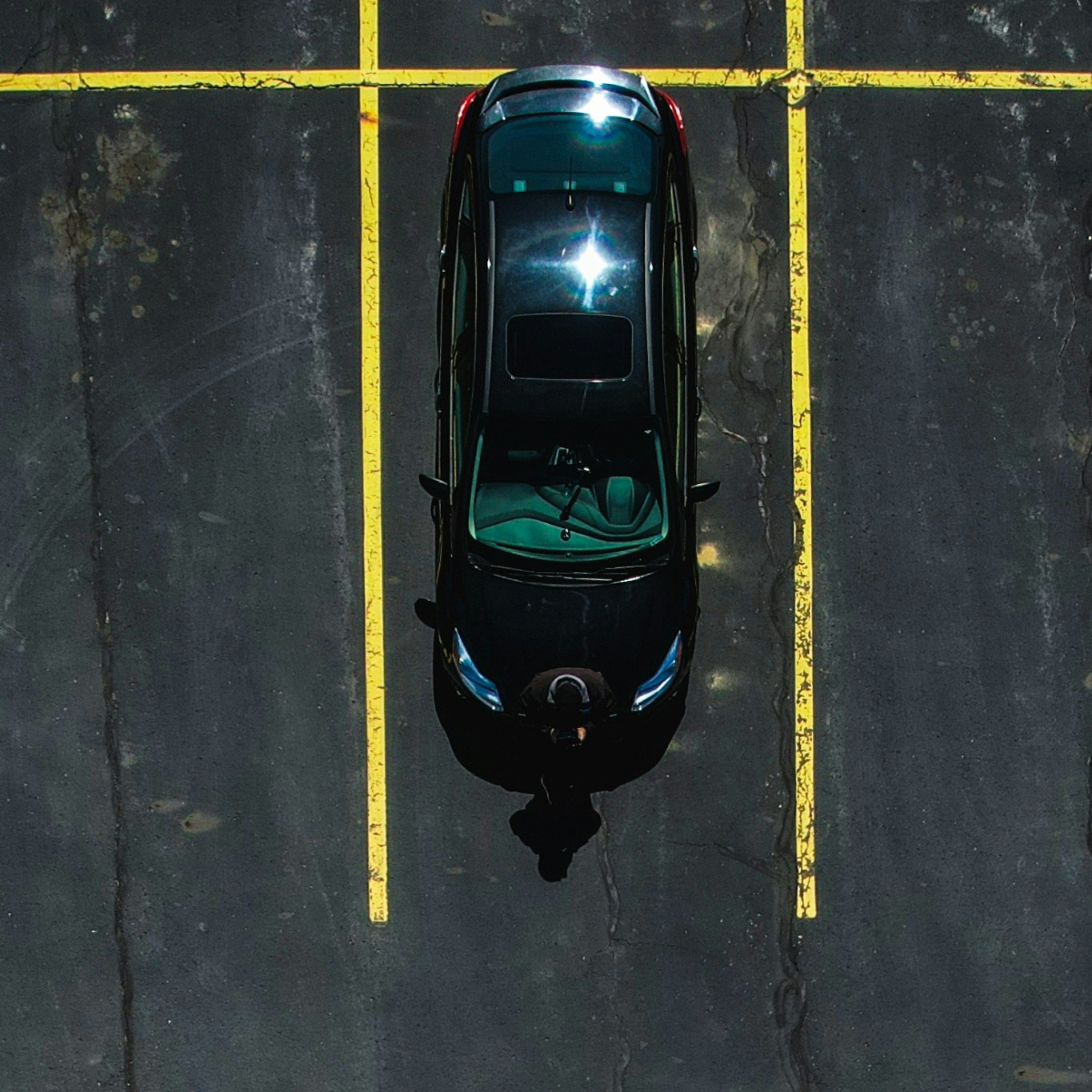 Avatar of user Nilupul Malinda Kulathunga