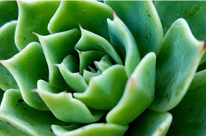 Emily Hallamのプロフィールを見る