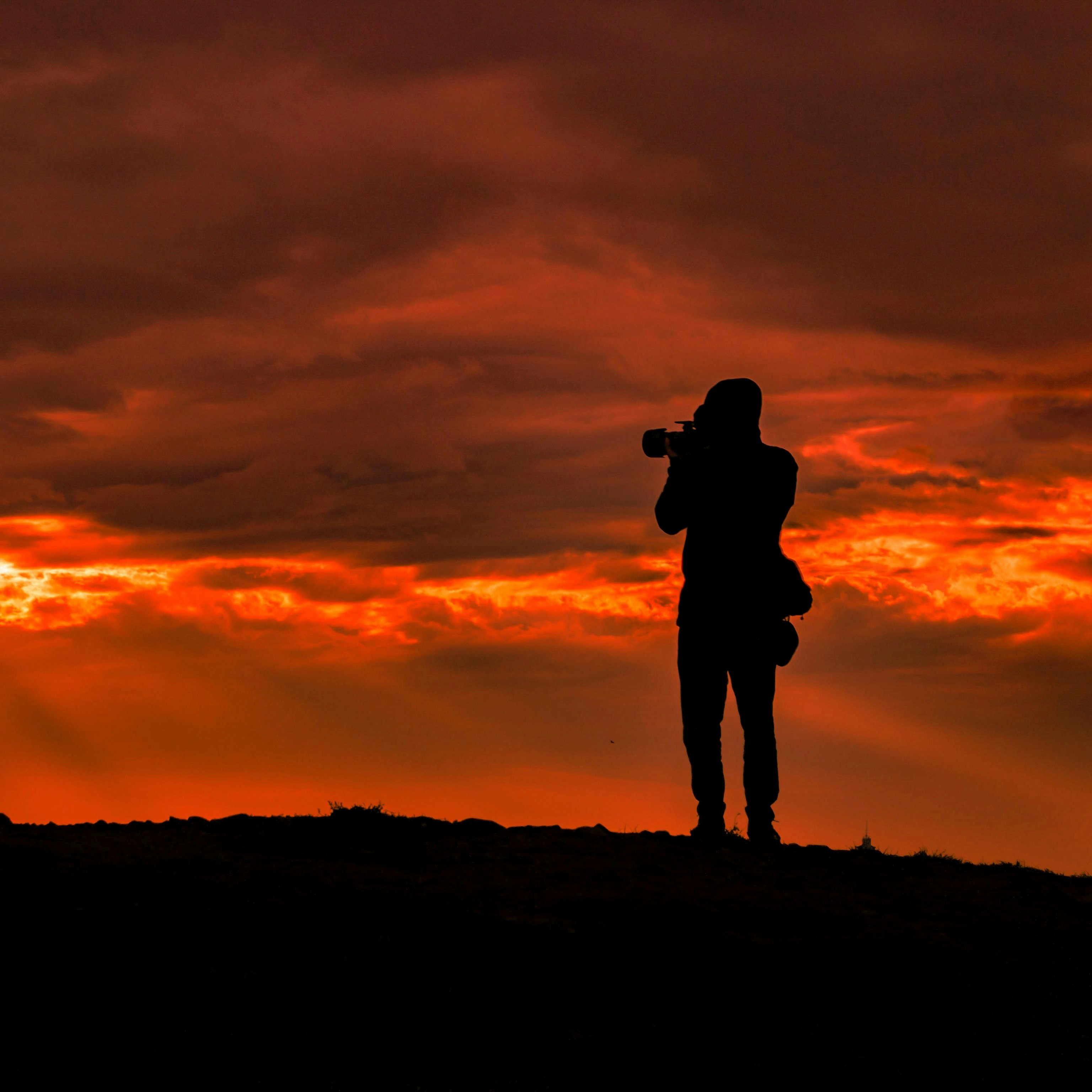 Ve al perfil de Ljubomir Žarković