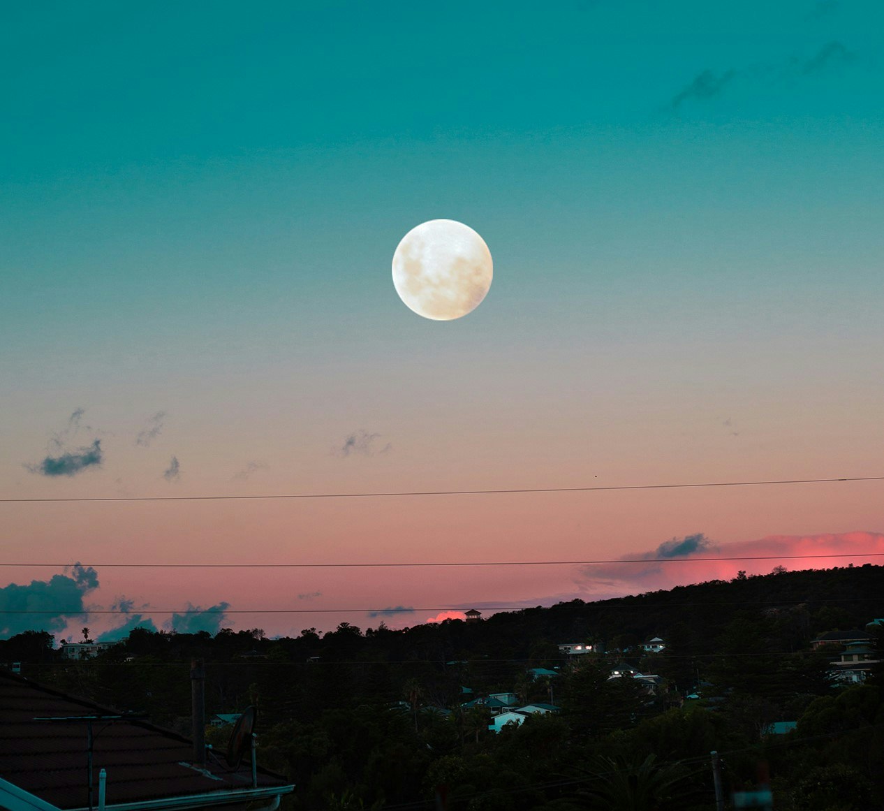 Go to Bryn Young's profile