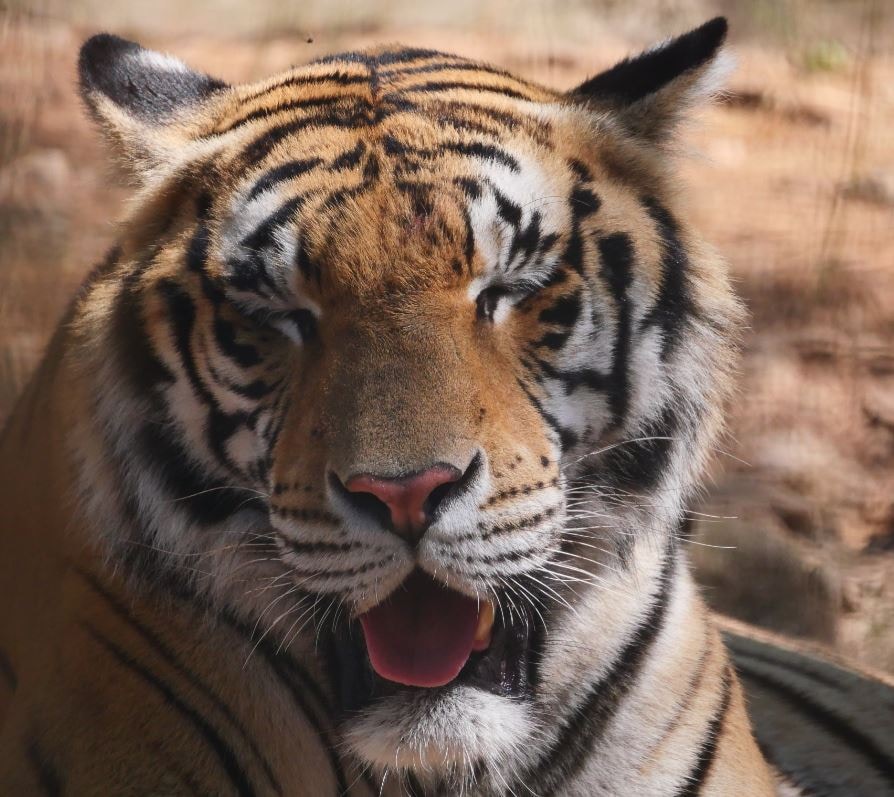 Go to bapt's profile