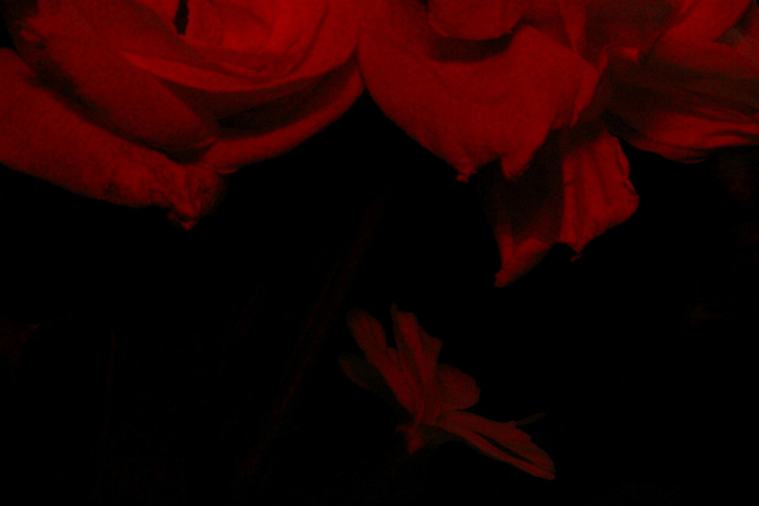 Go to Worm Funeral's profile