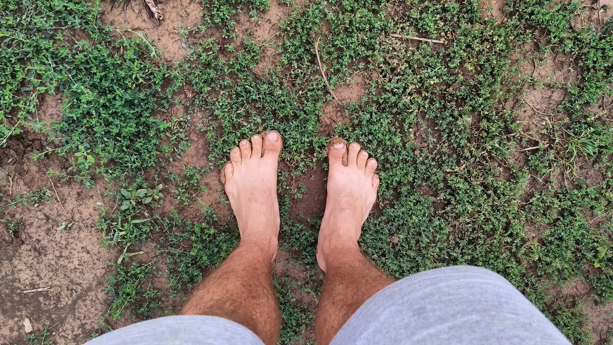 Go to Tamas Sandor's profile