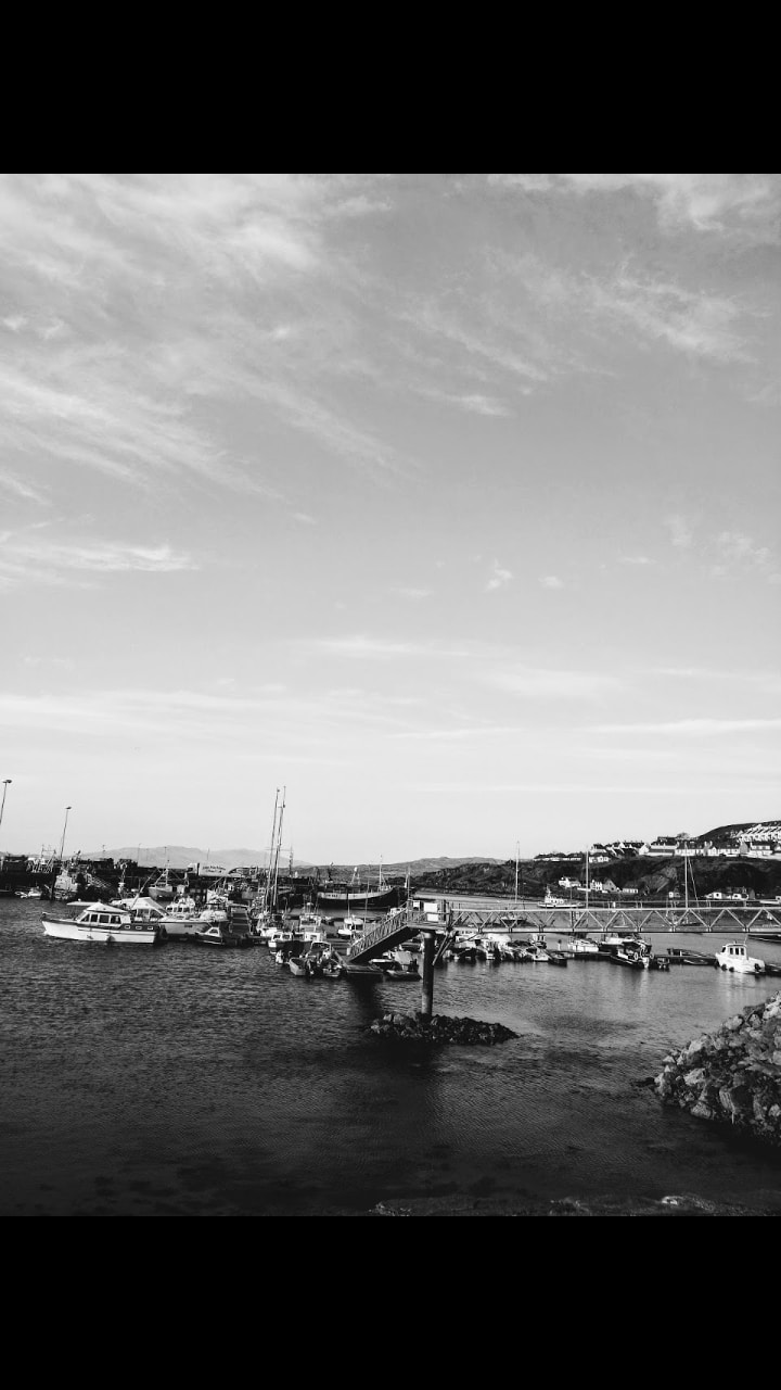 Go to Elinor Longley's profile