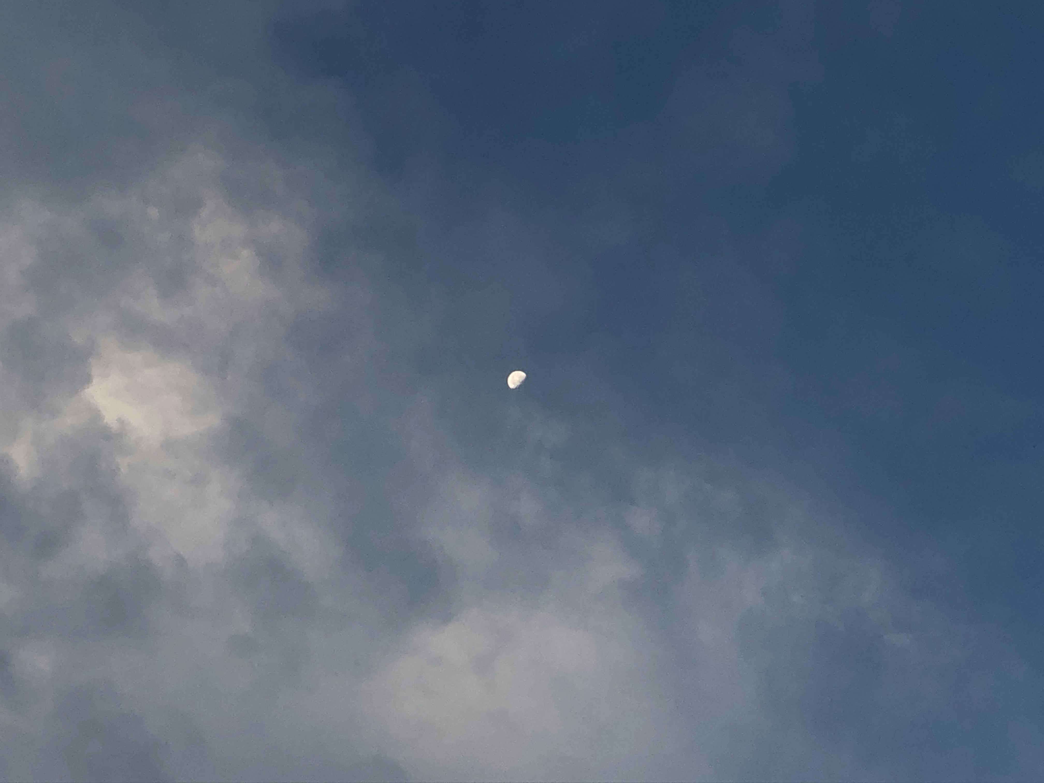 Go to Luo JunHao's profile