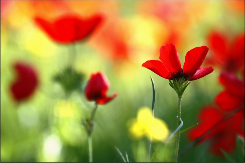 Go to Gaby Fishman Fosbery's profile