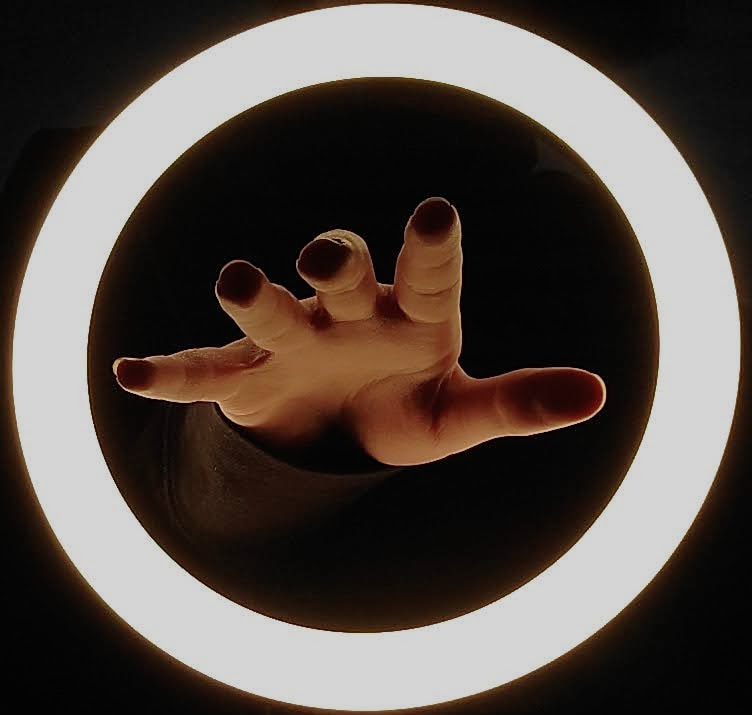 Ir para o perfil de Eden Rushing