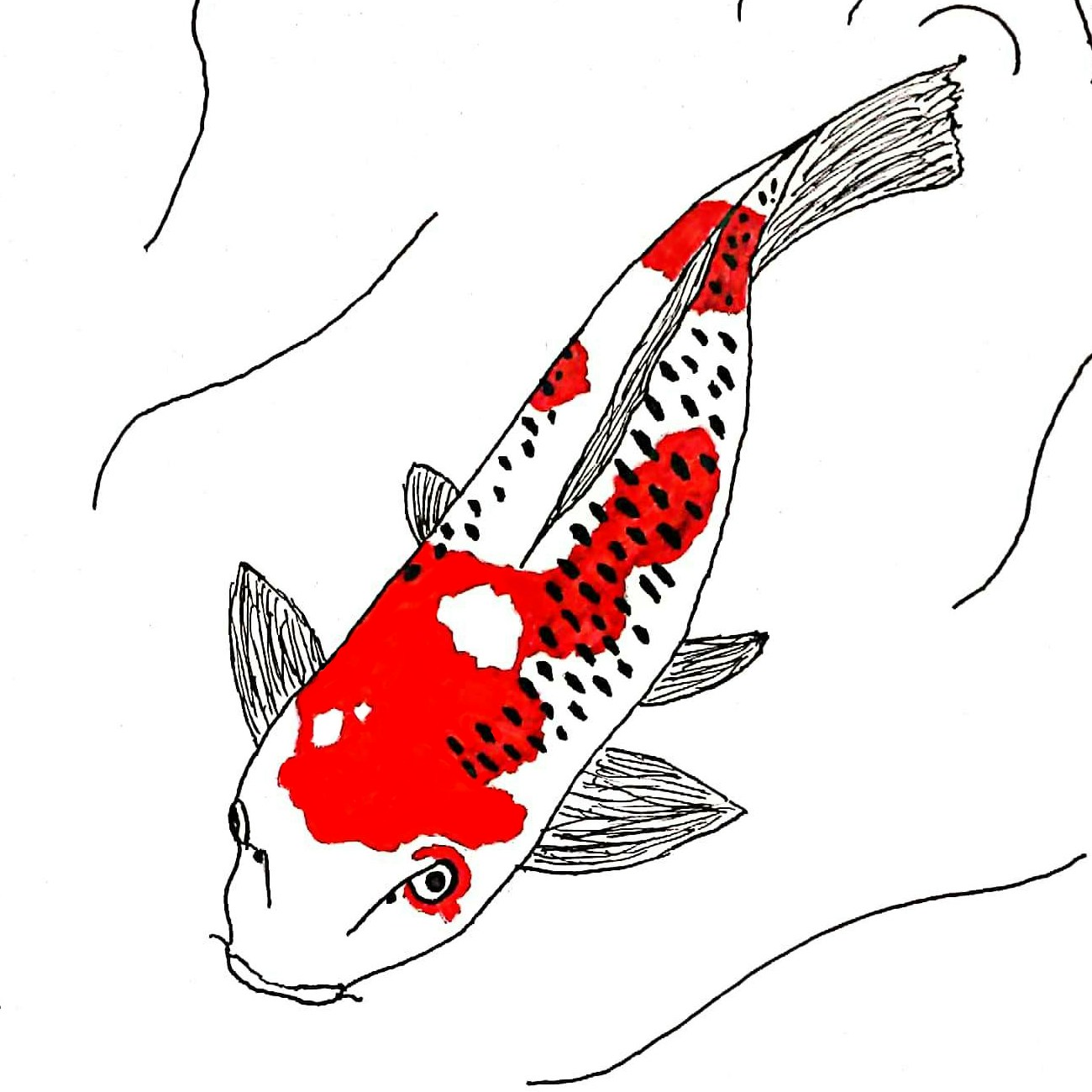 Go to Layo Animals's profile