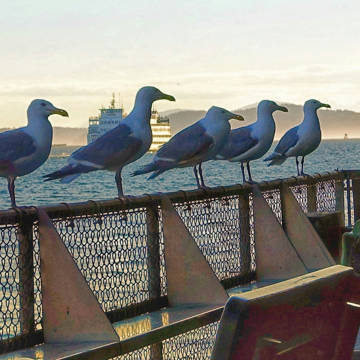 Ve al perfil de Masahiro Kobayashi