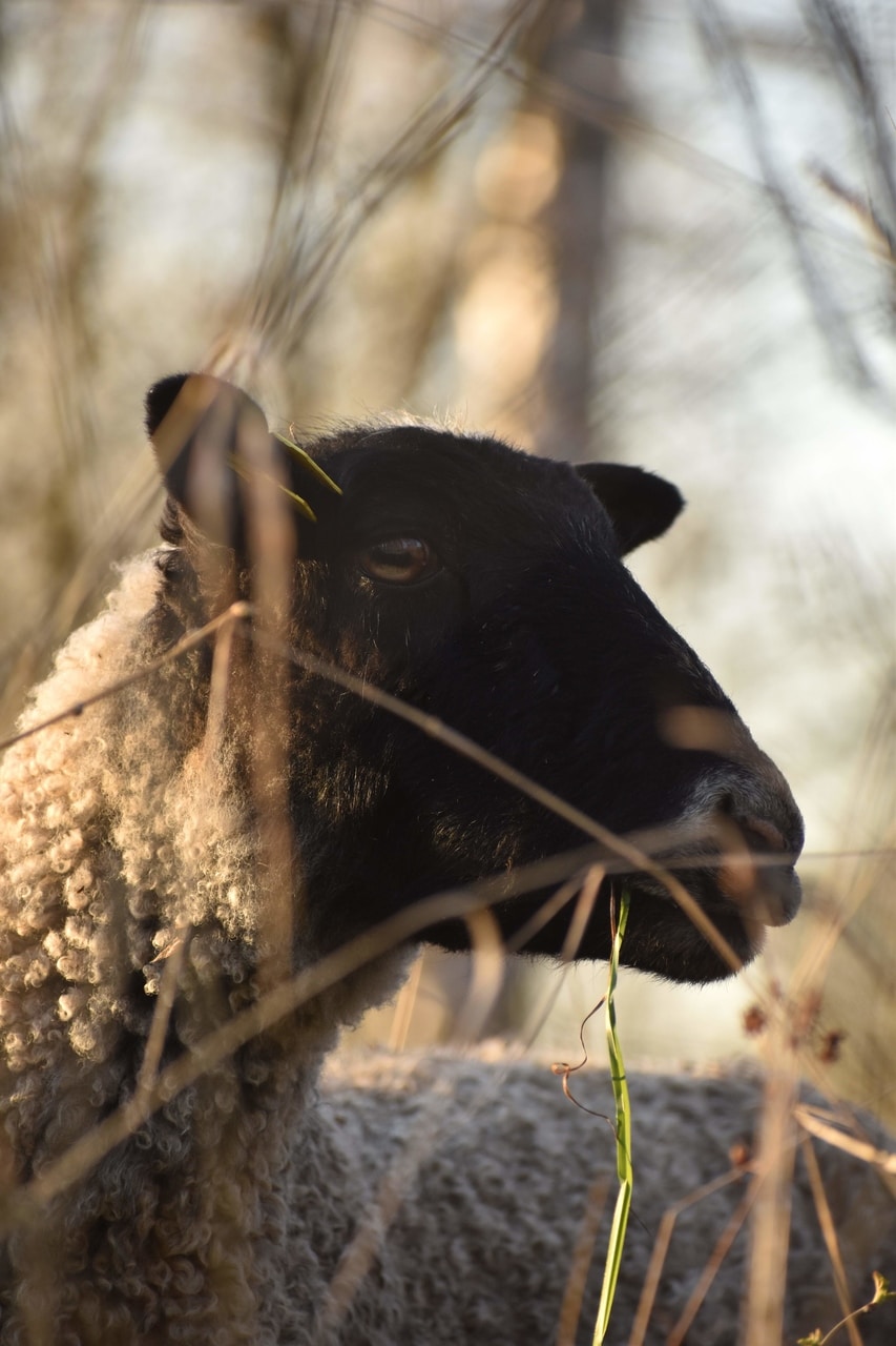 Zum Profil von Axel Vilander