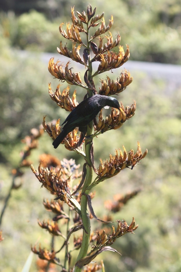 Go to David Tip's profile