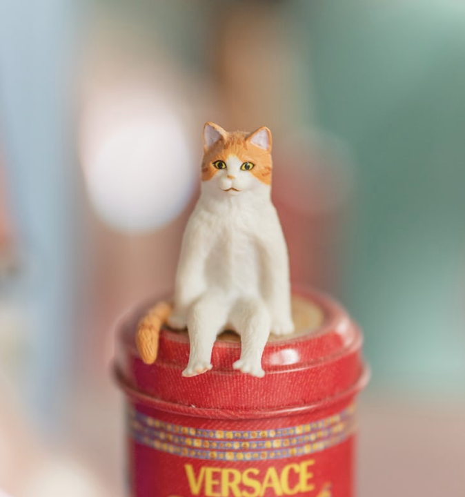 Go to Ana Nogrey's profile