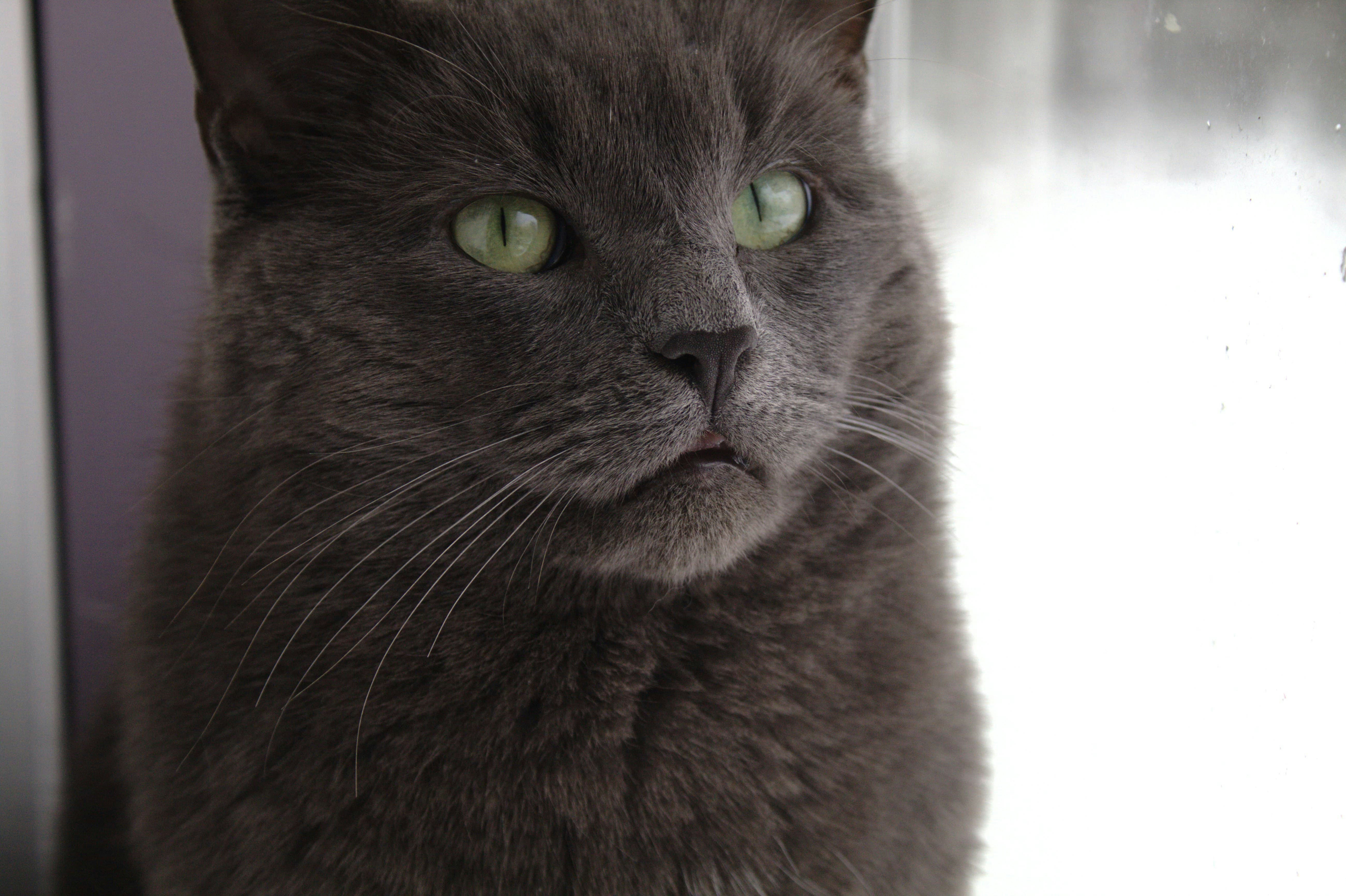 Go to Noah Moquin's profile