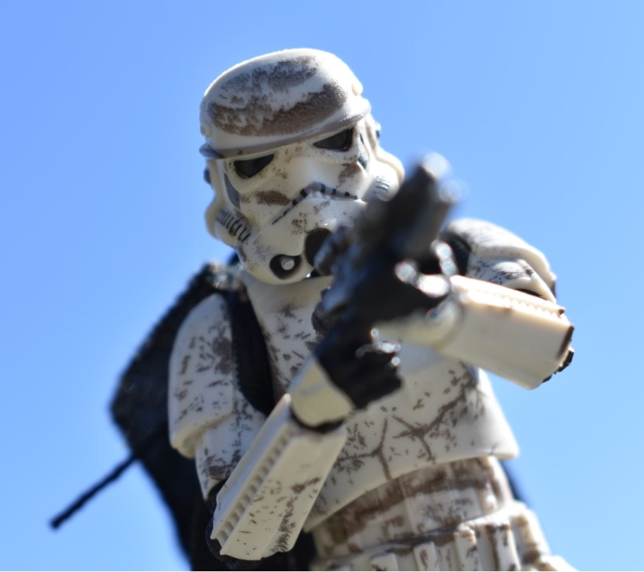 Go to Nolan Walsh's profile