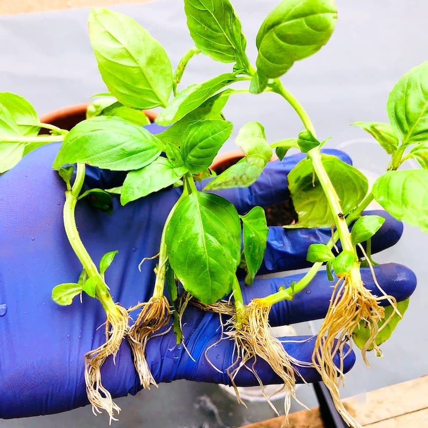 Go to M.f Shaikh's profile