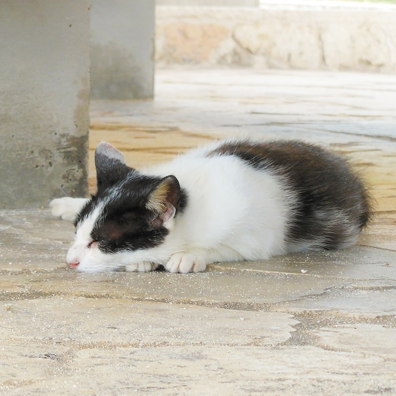 Go to yamasa-n's profile