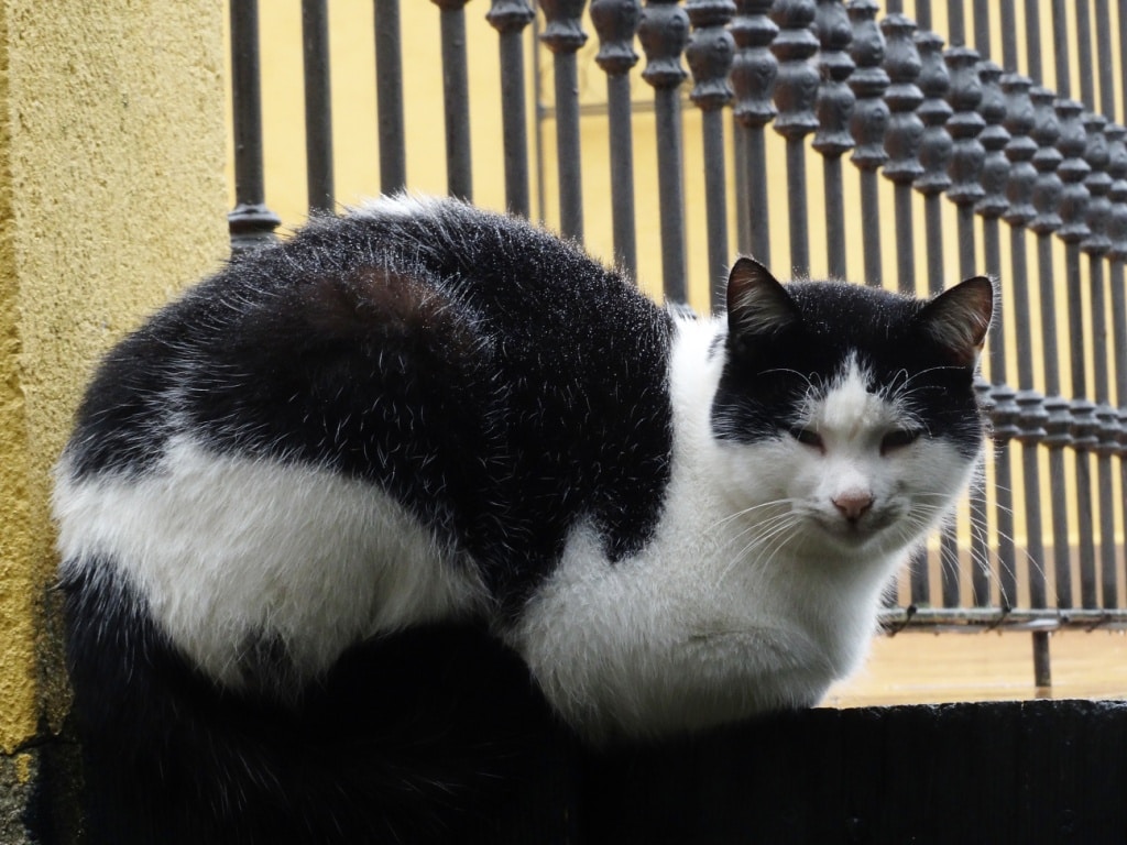 Go to Miguel Alonso's profile