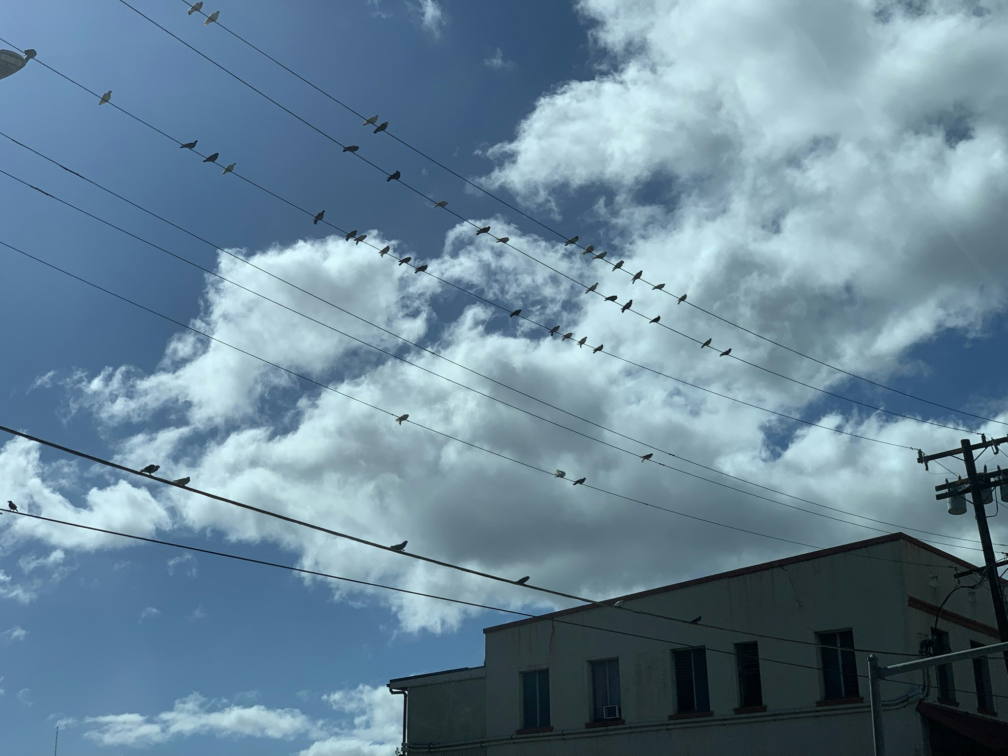 Avatar of user Don H