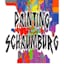 Avatar of user Painting Schaumburg