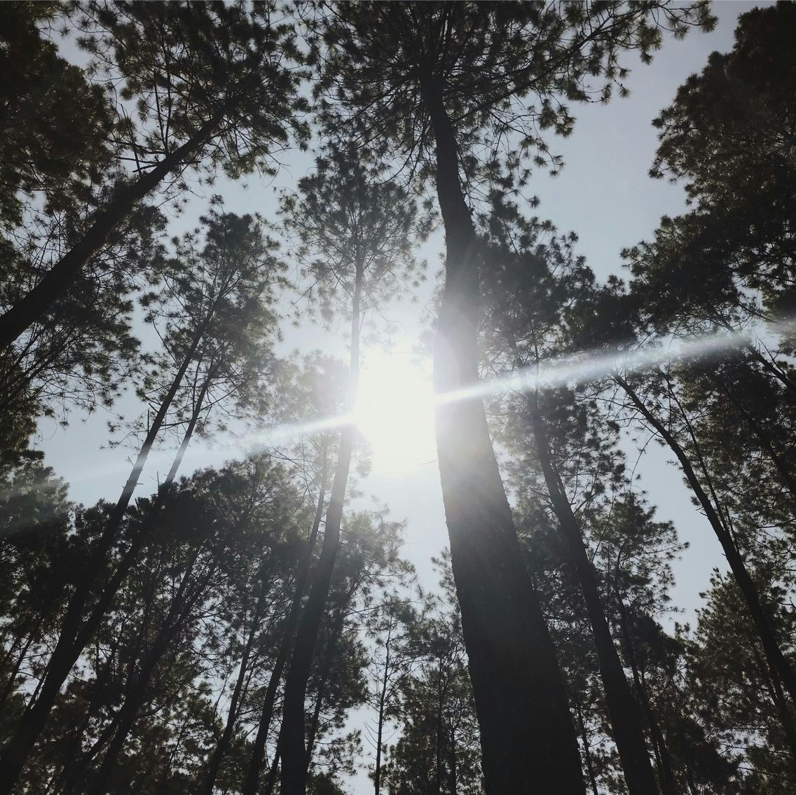 Go to A Wahyu's profile