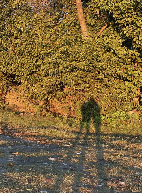 Go to Pm Pm's profile