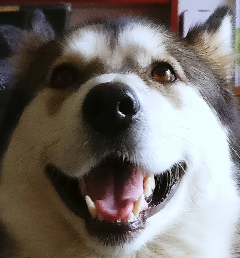 Go to Péter Andi's profile