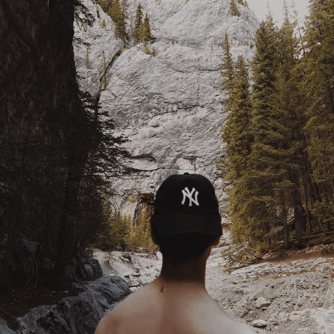 Go to Davide Colonna's profile