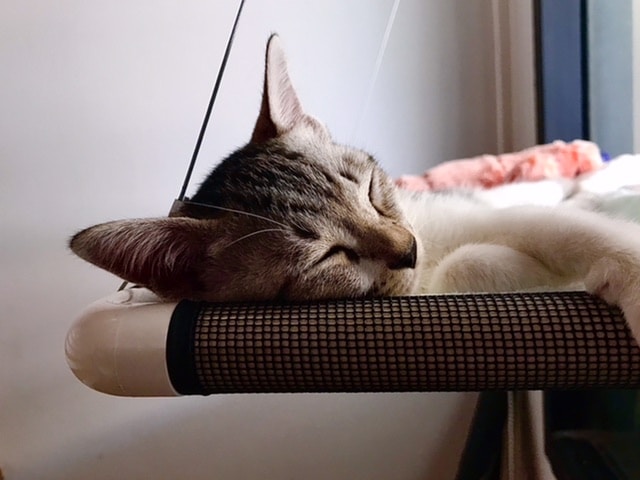 Go to Moo Kruawan's profile