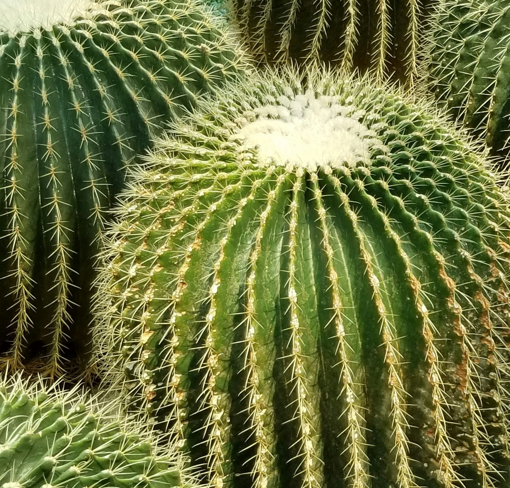 Go to Joe Smith's profile