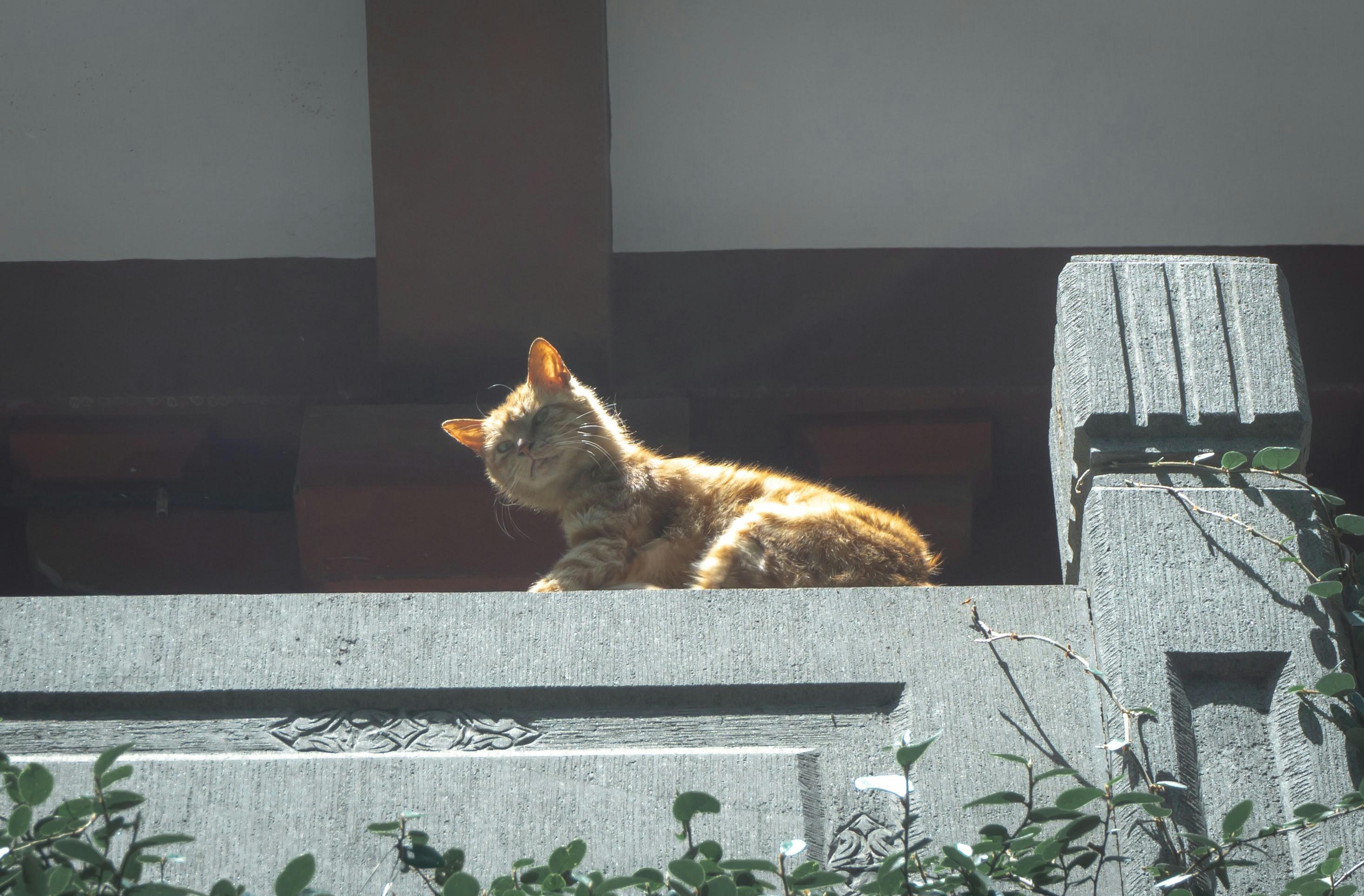 Huimin Caiのプロフィールを見る