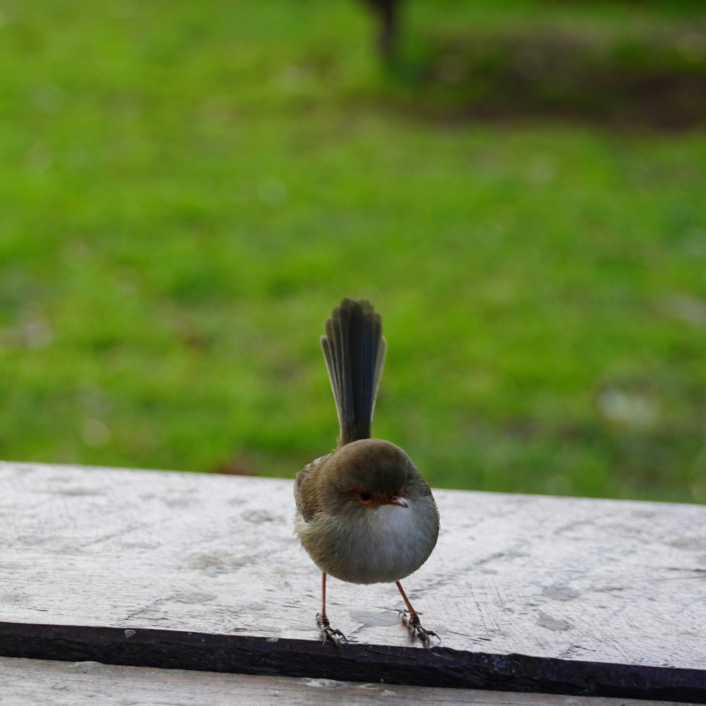 Go to Part of life's profile