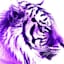 Avatar of user Purple Tiger