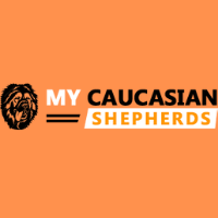 Unsplash profile picture for @caucasian