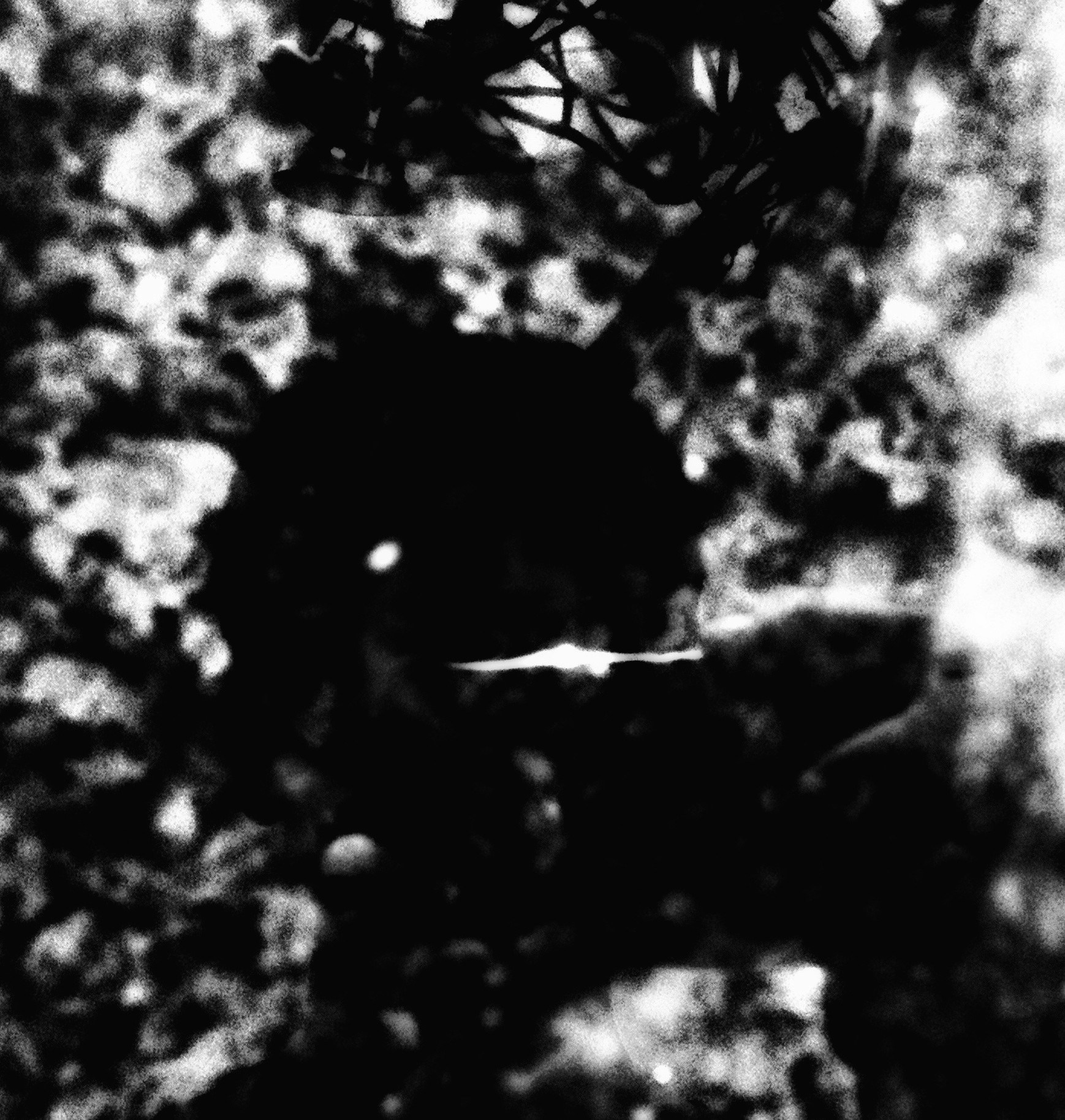 Ve al perfil de Maaz Ahmed