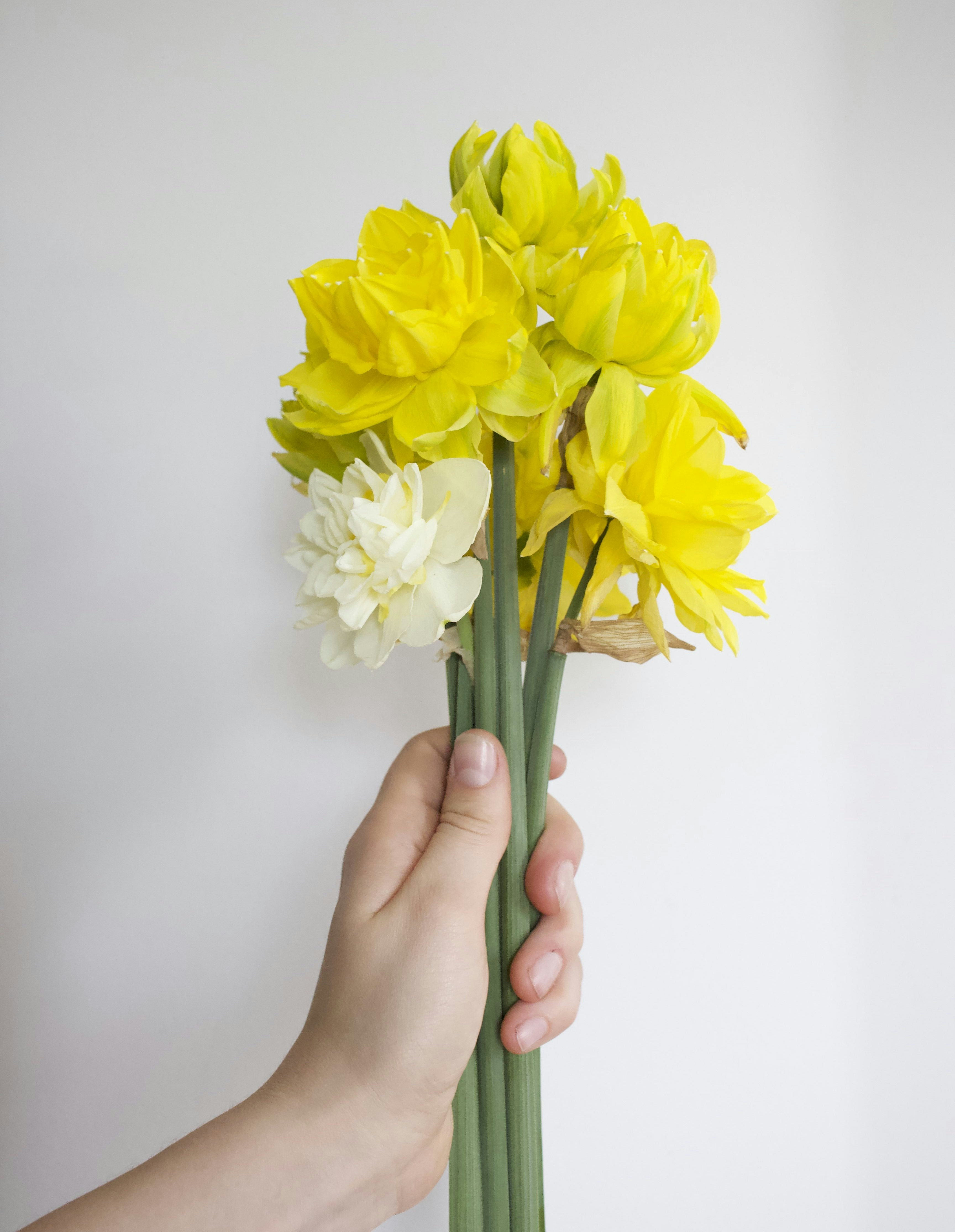 Ir para o perfil de Serenity P