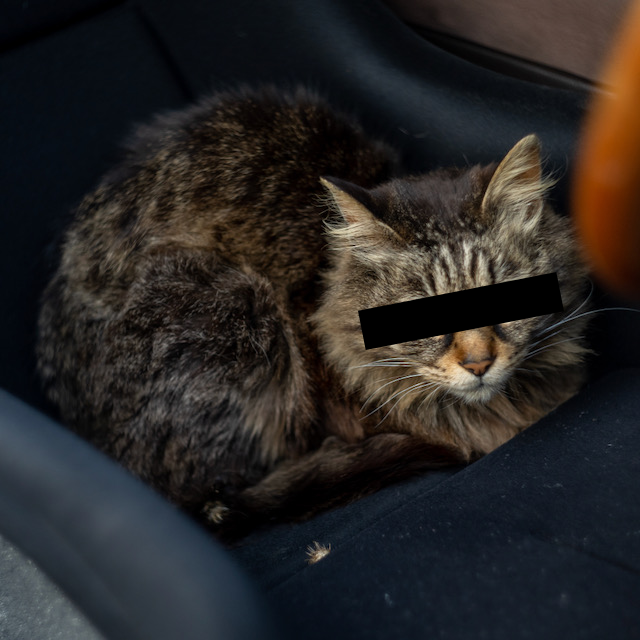 Ir para o perfil de Ivan Rudoy