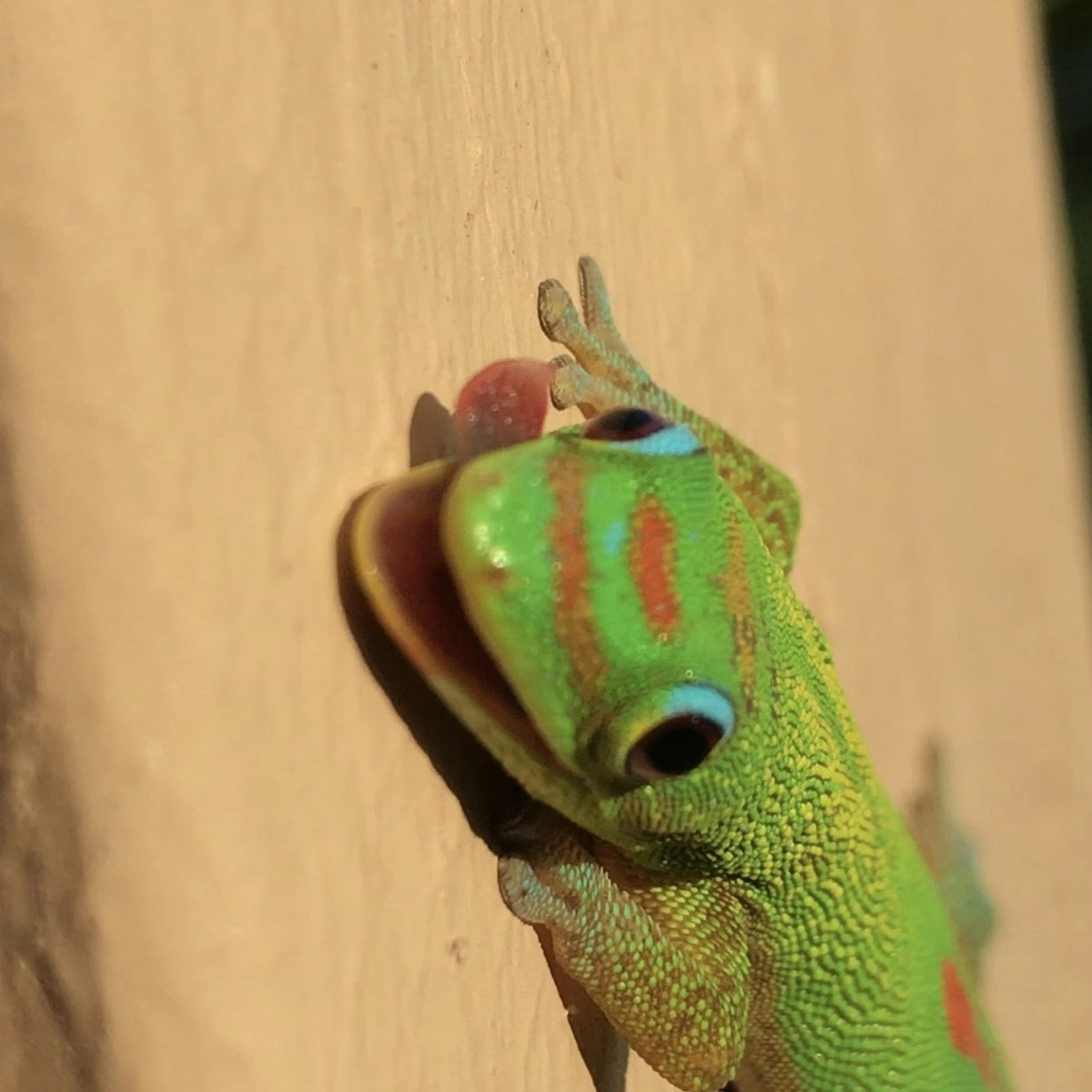 Accéder au profil de Daniel Roth