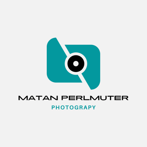 Go to Matan Perlmuter's profile