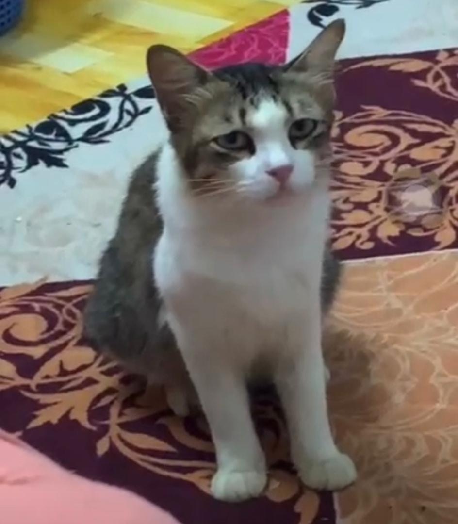 Go to THE A's profile