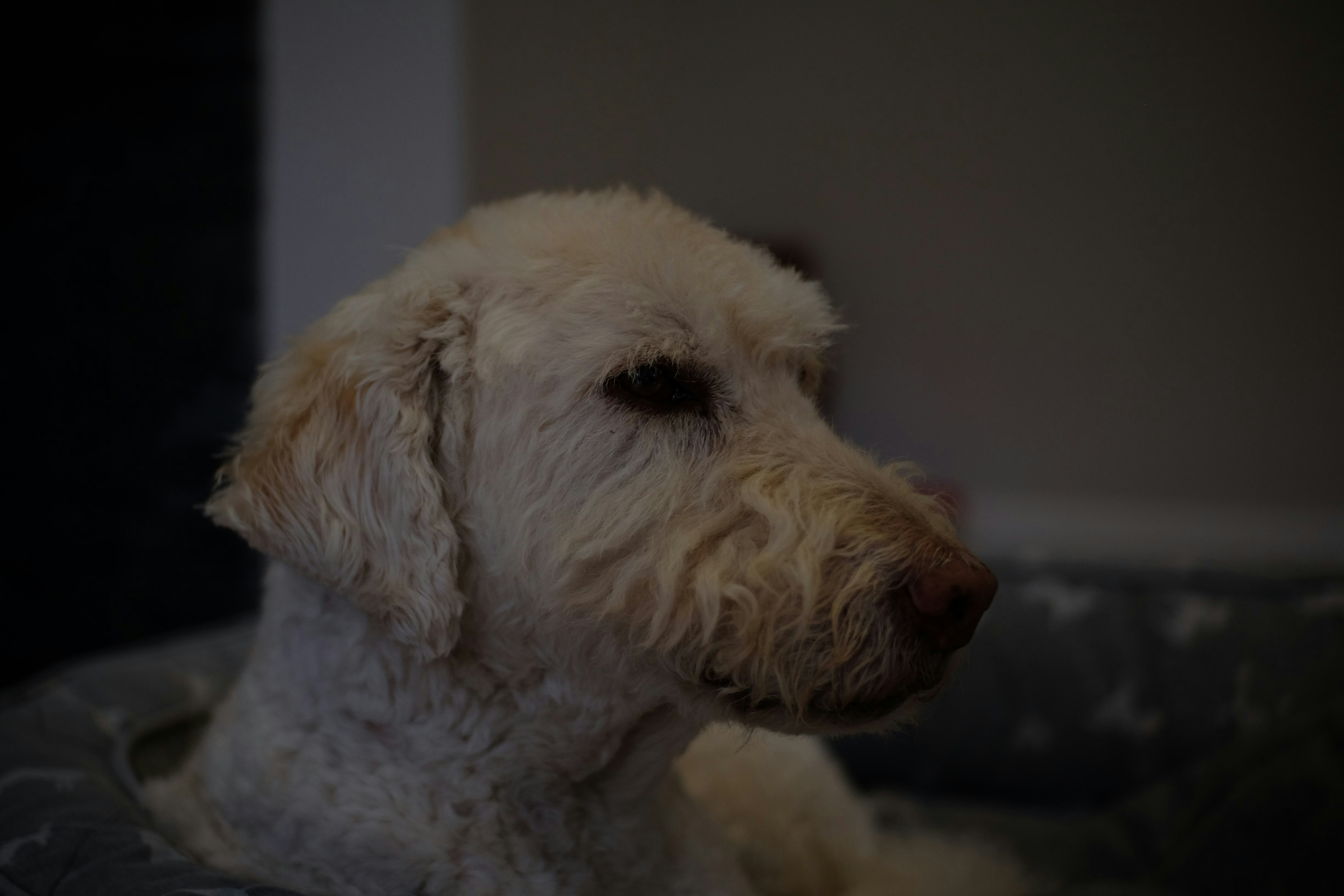 Go to Sean Robbins's profile