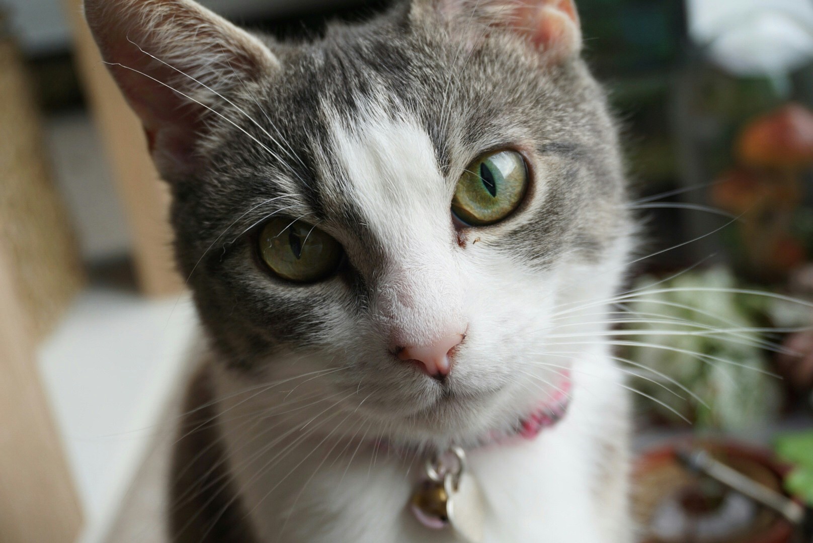 Avatar of user Elise Vermeer