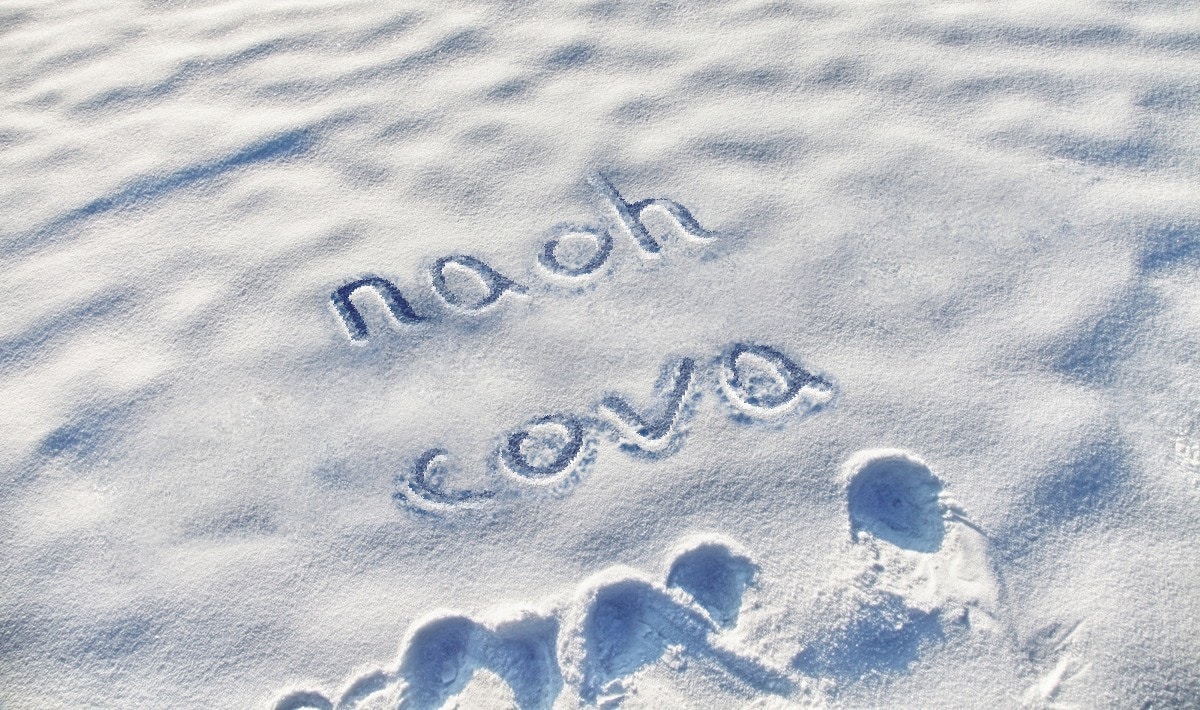 Zum Profil von naoh cova