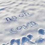 Avatar of user naoh cova