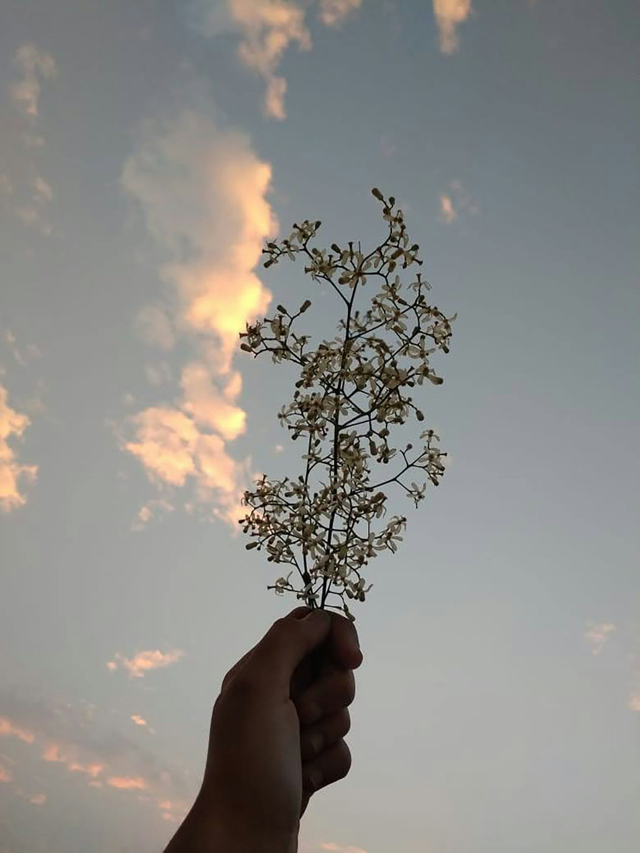 Ruchaのプロフィールを見る